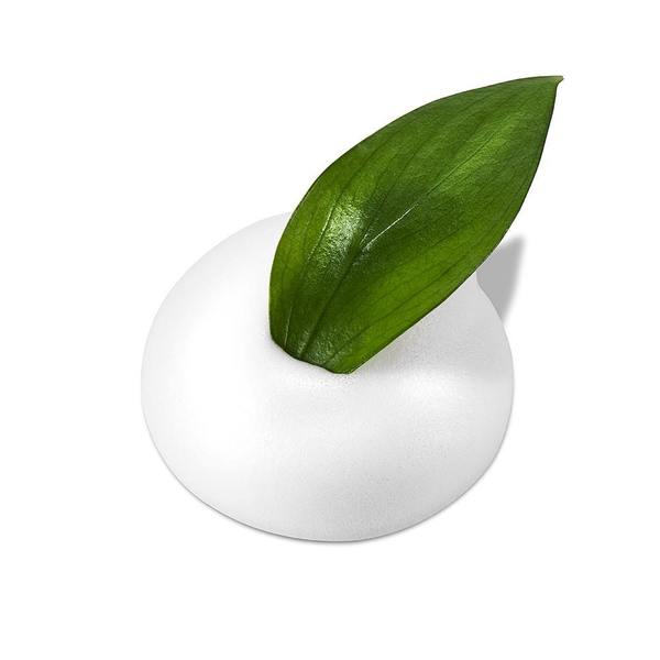 Neogen – Real Fresh Foam Green Tea k beauty