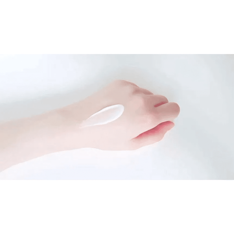 Isntree - Hyaluronic Acid Moist Cream 100 ml 1
