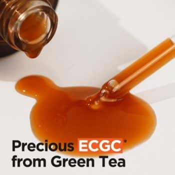 Isntree – Green Tea Fresh Serum k beauty Stort udvalg af koreansk hudpleje